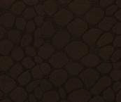Brown Anaconda