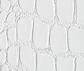 White Crocodile