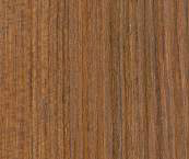 Amora Teak